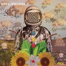 bill frisell_guitar in the space age