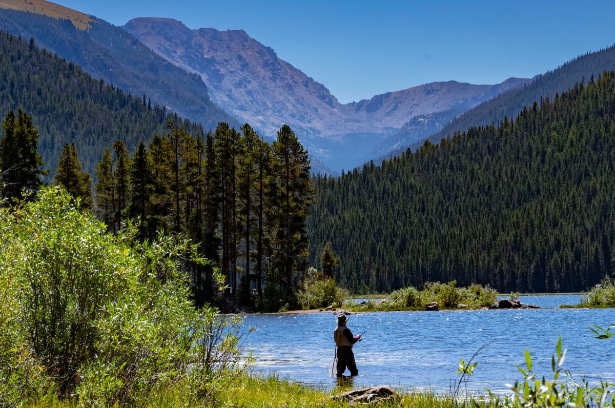 CP S16 EP33&nbsp;2022