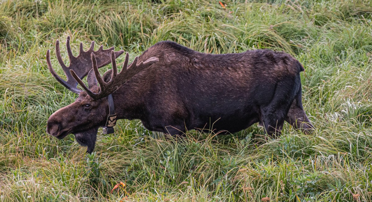 CP S16 EP32&nbsp;2022