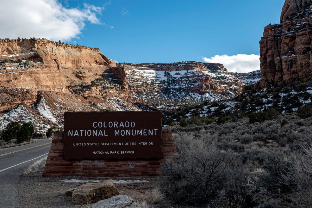 CP S17 EP15&nbsp;2023