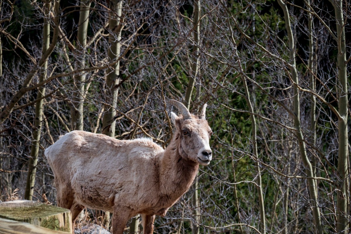 CP S17 EP19&nbsp;2023