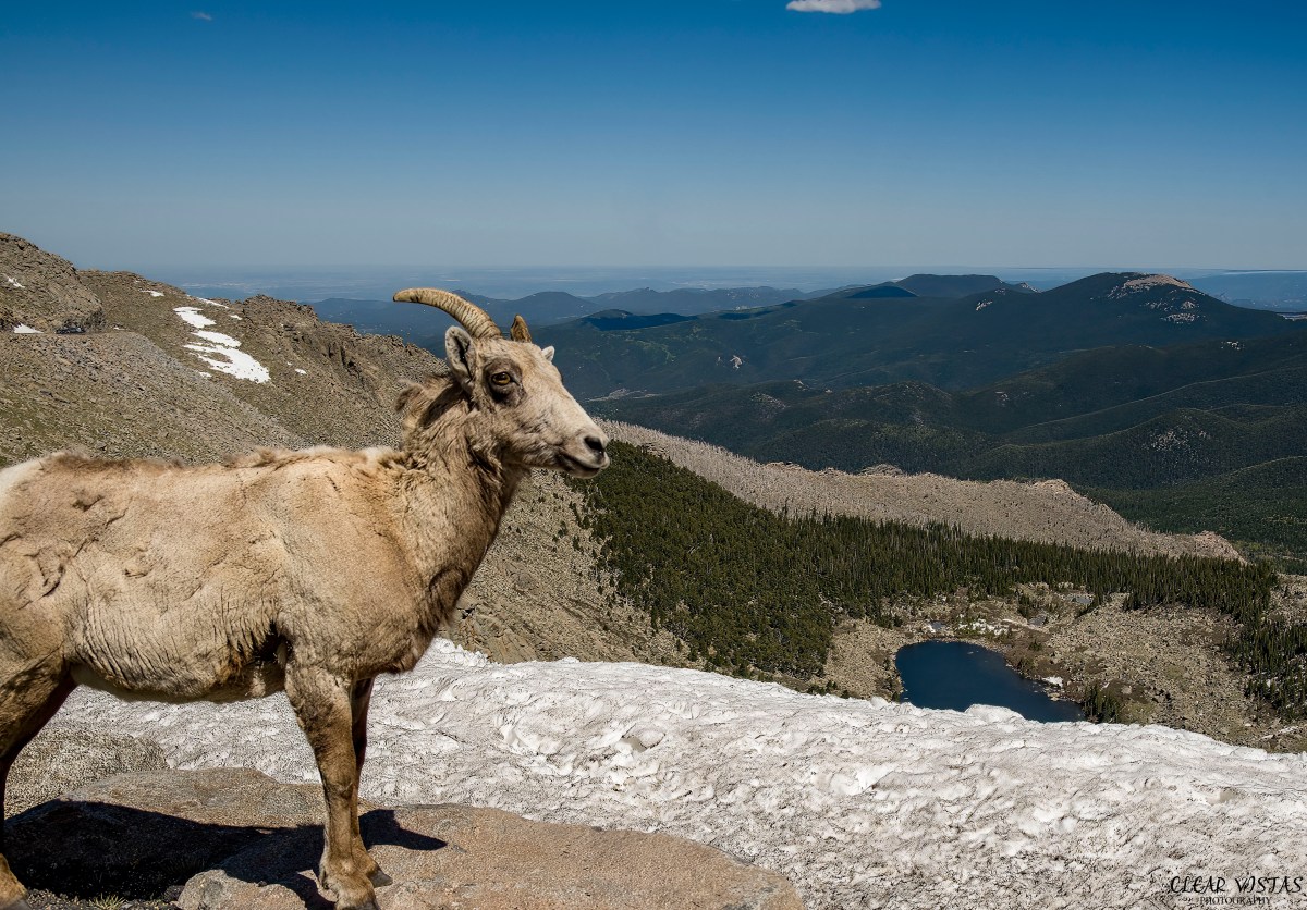 CP S17 EP24&nbsp;2023