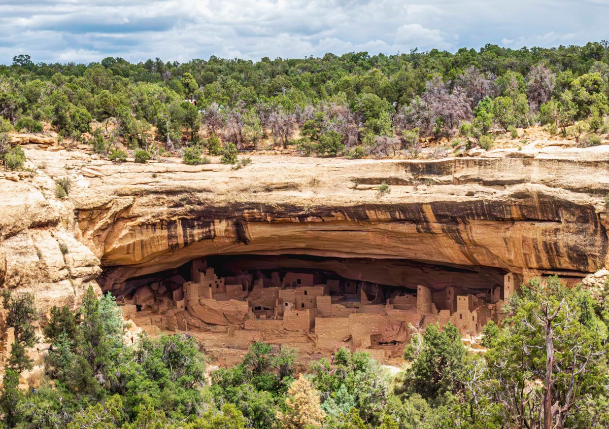 CP S17 EP42&nbsp;2023