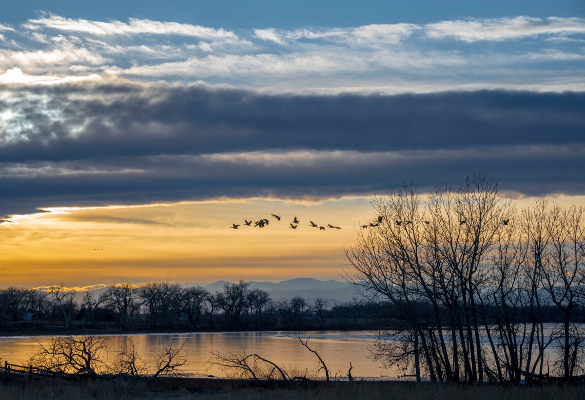 CP S18 EP04&nbsp;2024