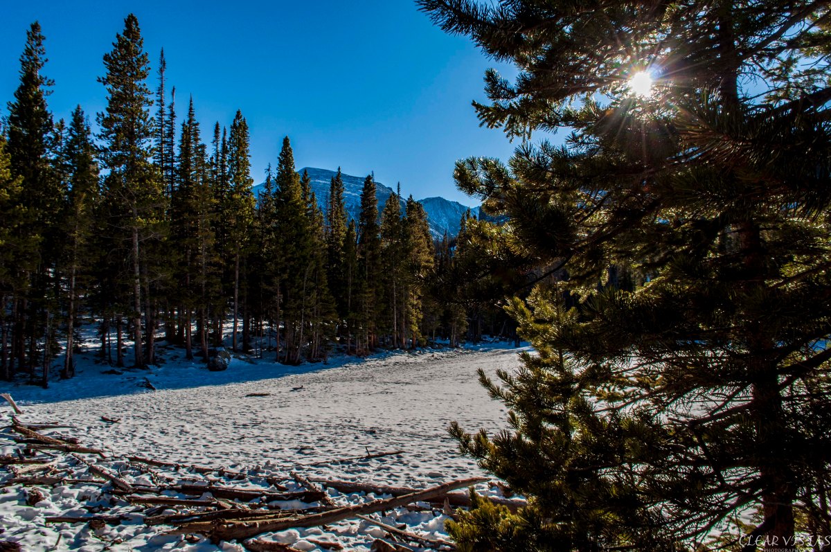 CP S18 EP11&nbsp;2024