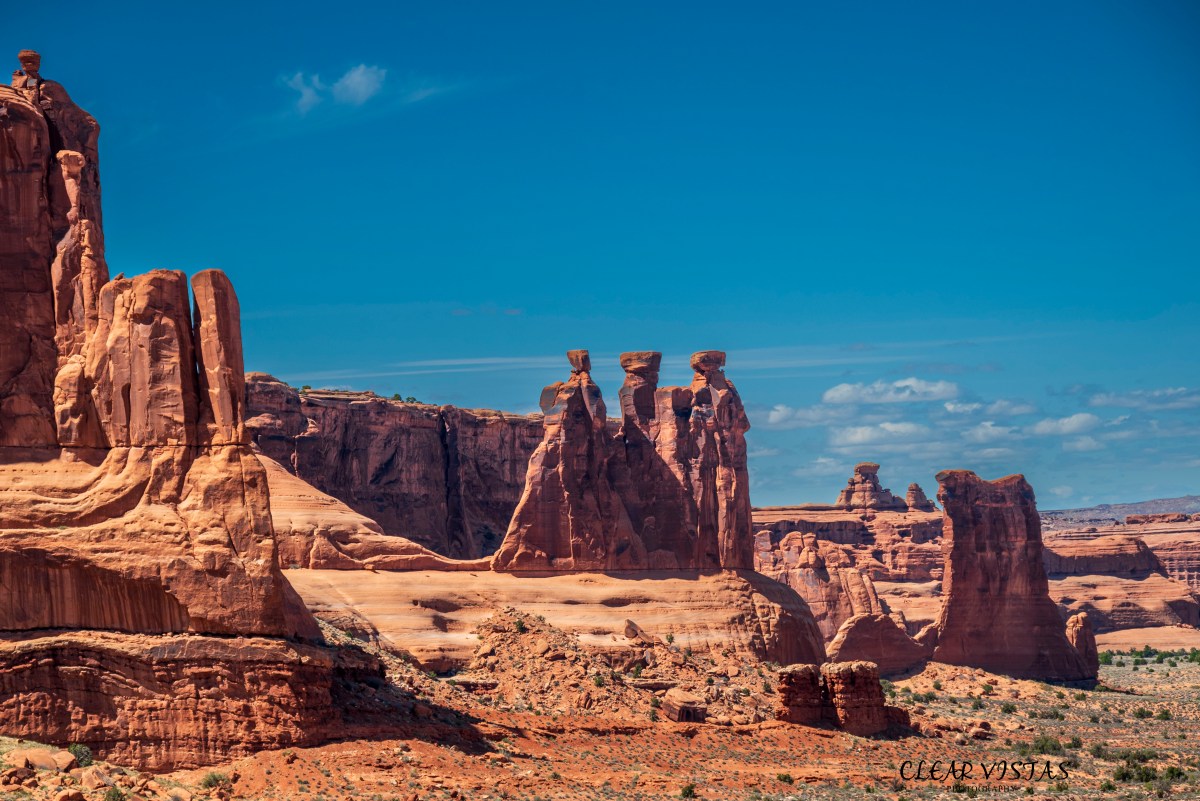 CP S18 EP15&nbsp;2024