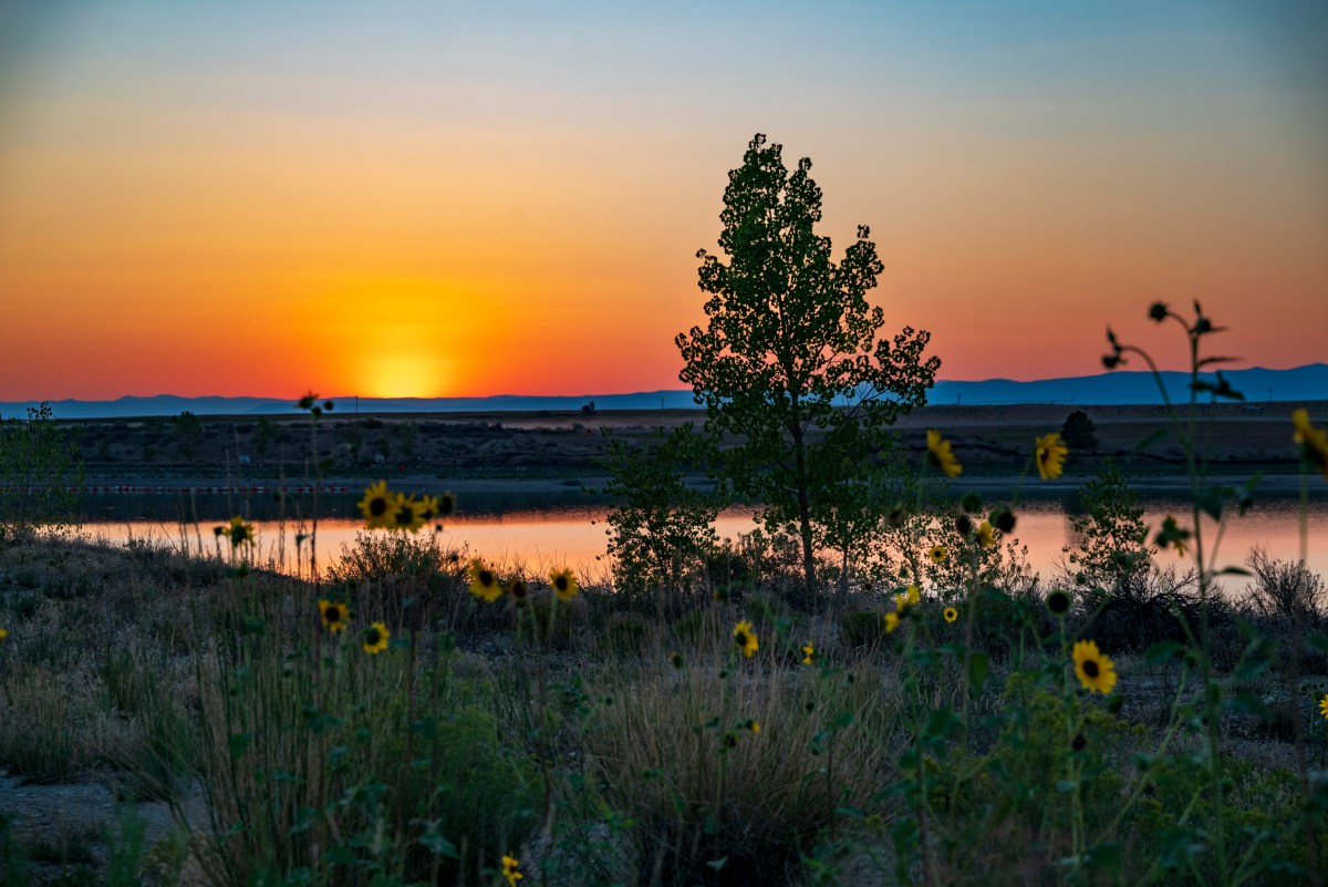 CP S18 EP32&nbsp;2024