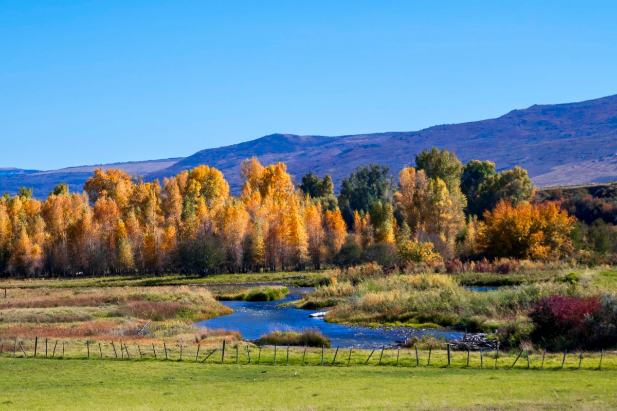 CP S18 EP36&nbsp;2024