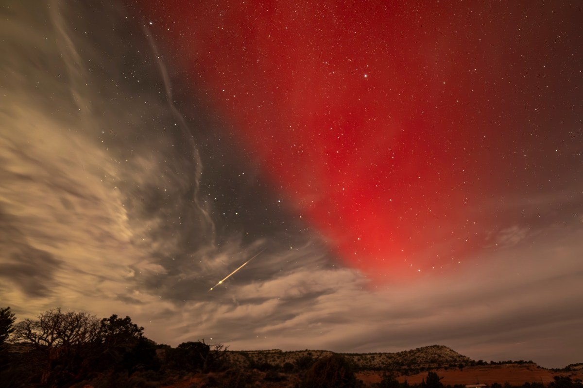 CP S18 EP37&nbsp;2024