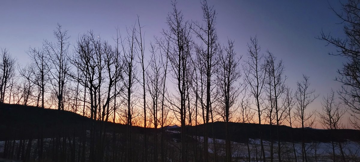 CP S19 EP08&nbsp;2025