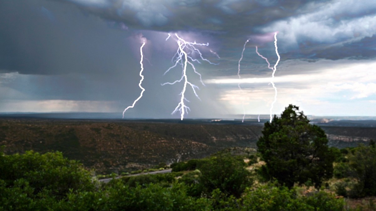 CP S19 EP24&nbsp;2025