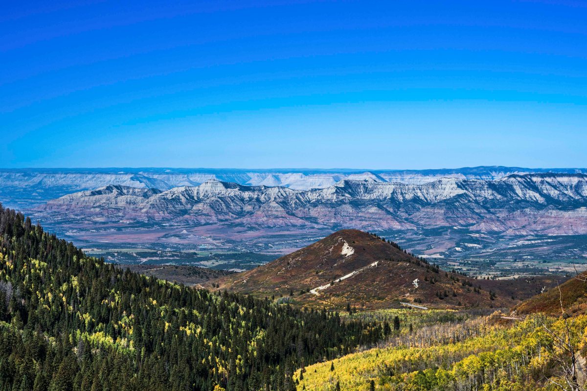 CP S19 EP36&nbsp;2025