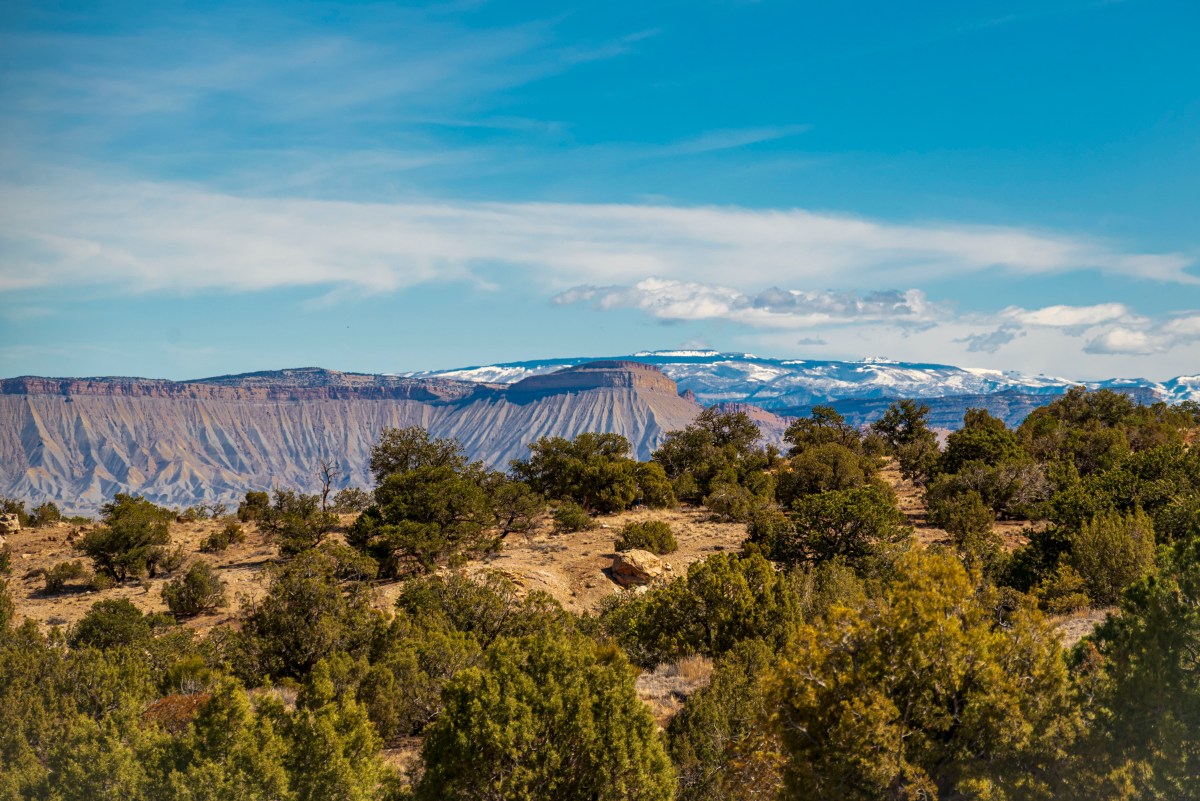 CP S20 EP10&nbsp;2026